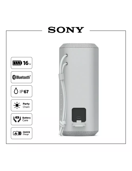 ENCEINTE SANS FIL PORTABLE GRIS CLAIR SONY