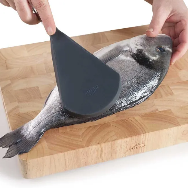 GRATTOIR DE POISSONS EN SILICONE 27 CM LACOR