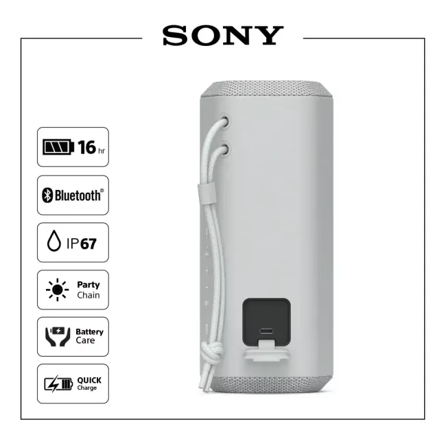 ENCEINTE SANS FIL PORTABLE GRIS CLAIR SONY